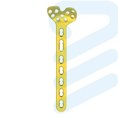 Plak Varyab Distal Varyab